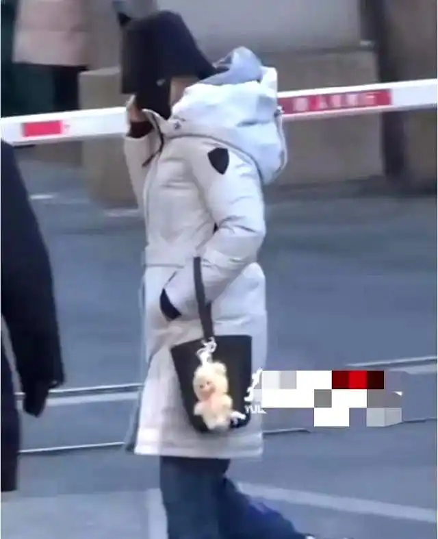 女明星的冬装_女明星冬季穿搭策略_秦岚刘浩存热依扎时尚选择分析
